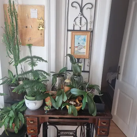 Apartment Timeami Rijeka