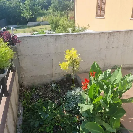 Apartament Timeami